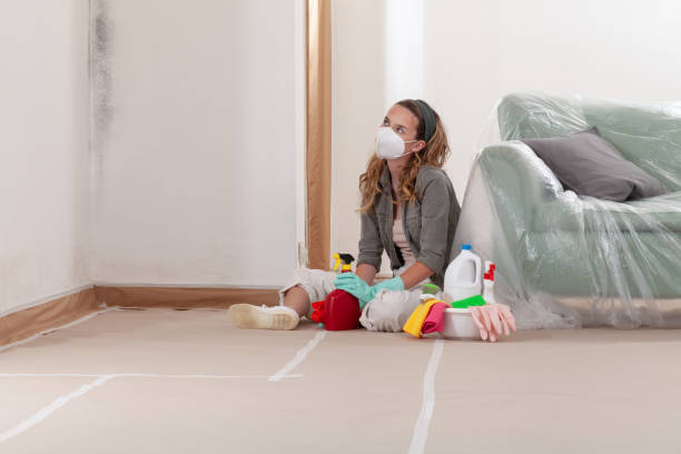 Reliable Mold Inspection And Testing contractor in Clearwater, MN by Car Mold Remediation